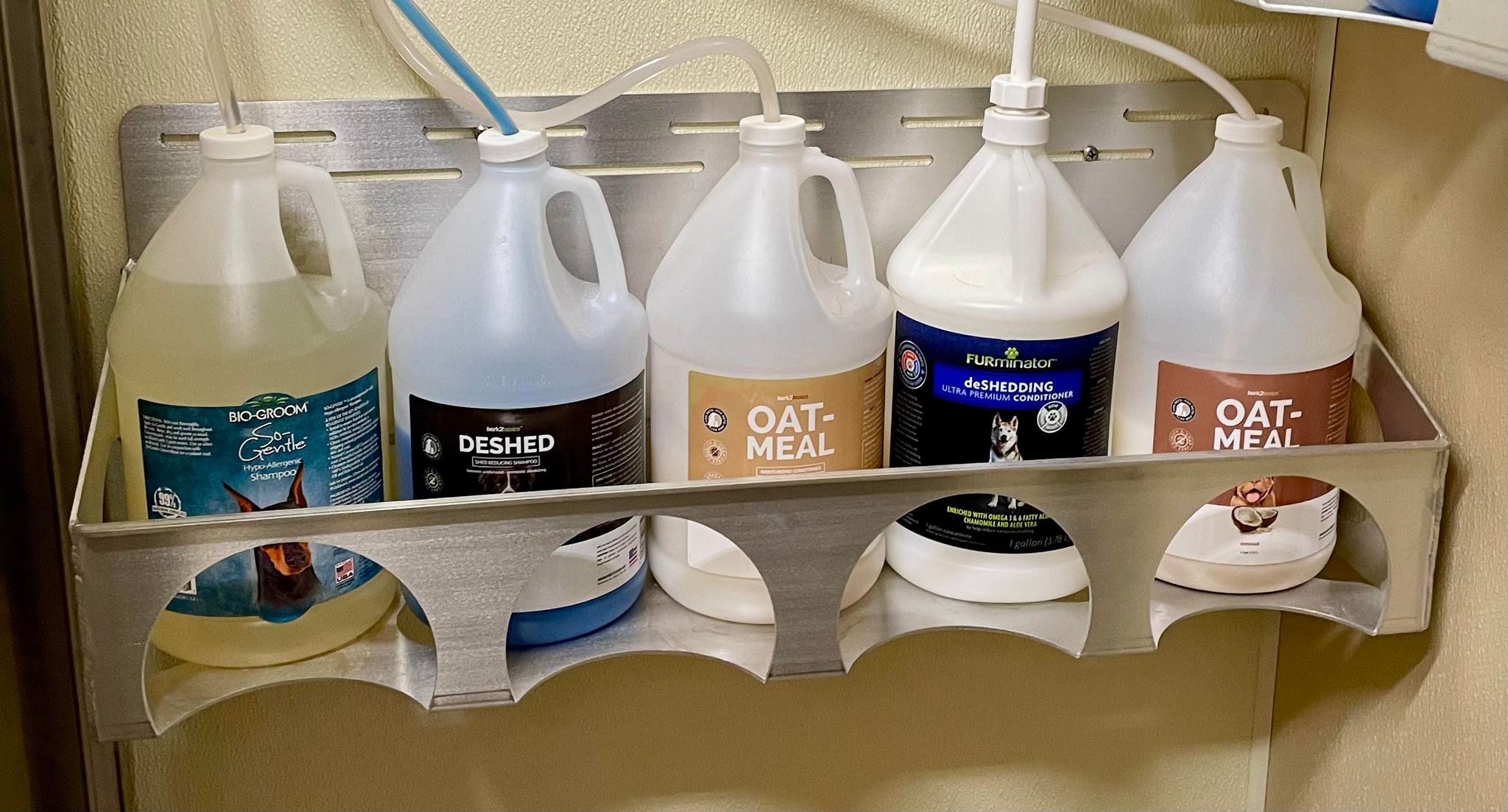 441878639_947010010536437_5029020917650823845_n