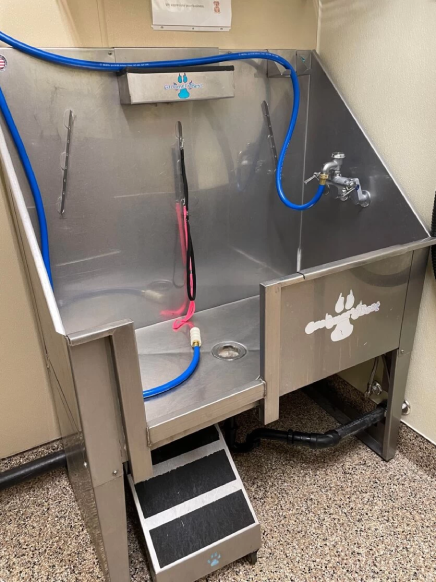 441953911_3237072626600521_8997747636527445360_n-e1717606438330